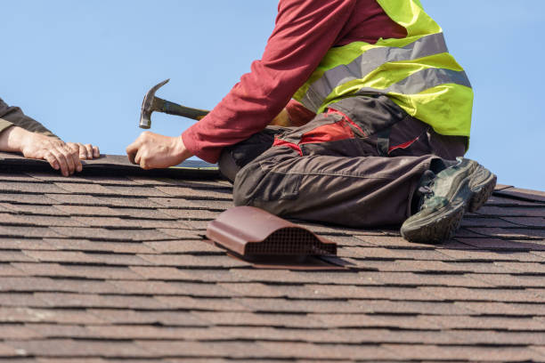 Roof Gutter Cleaning in Annapolis, MD