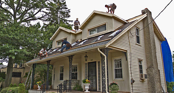 Best Storm Damage Roof Repair  in Annapolis, MD